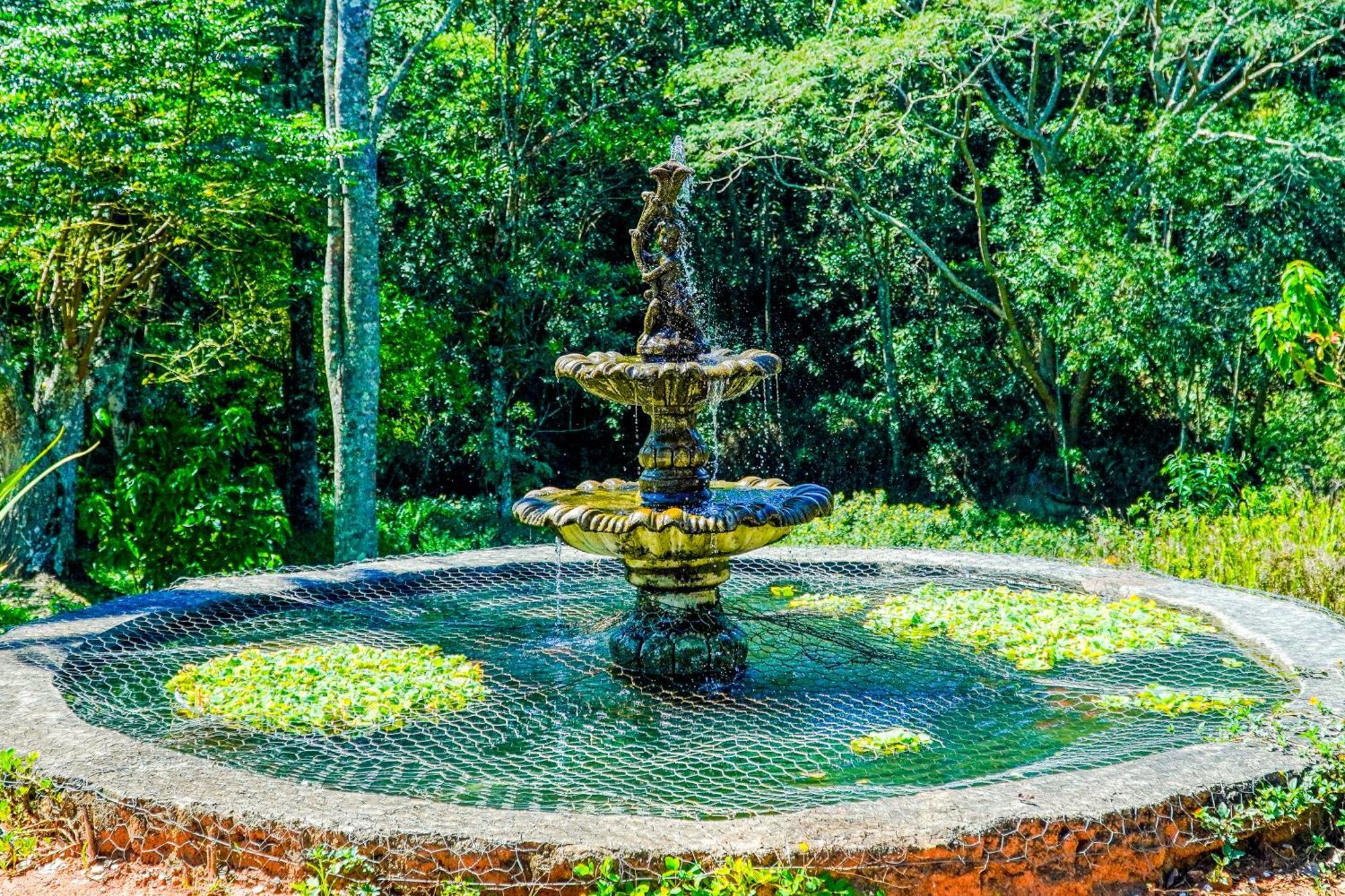 Pousada Highland Santo Antonio do Pinhal Ngoại thất bức ảnh