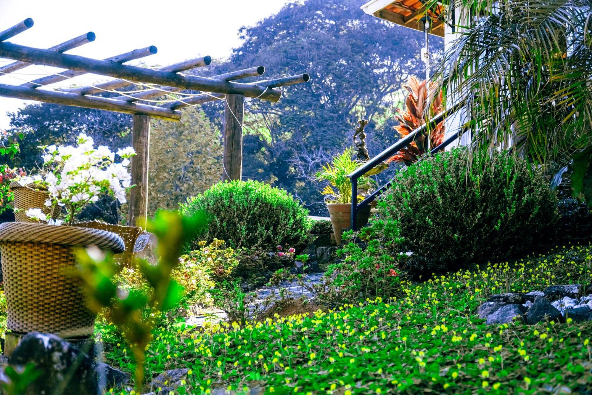 Pousada Highland Santo Antonio do Pinhal Ngoại thất bức ảnh
