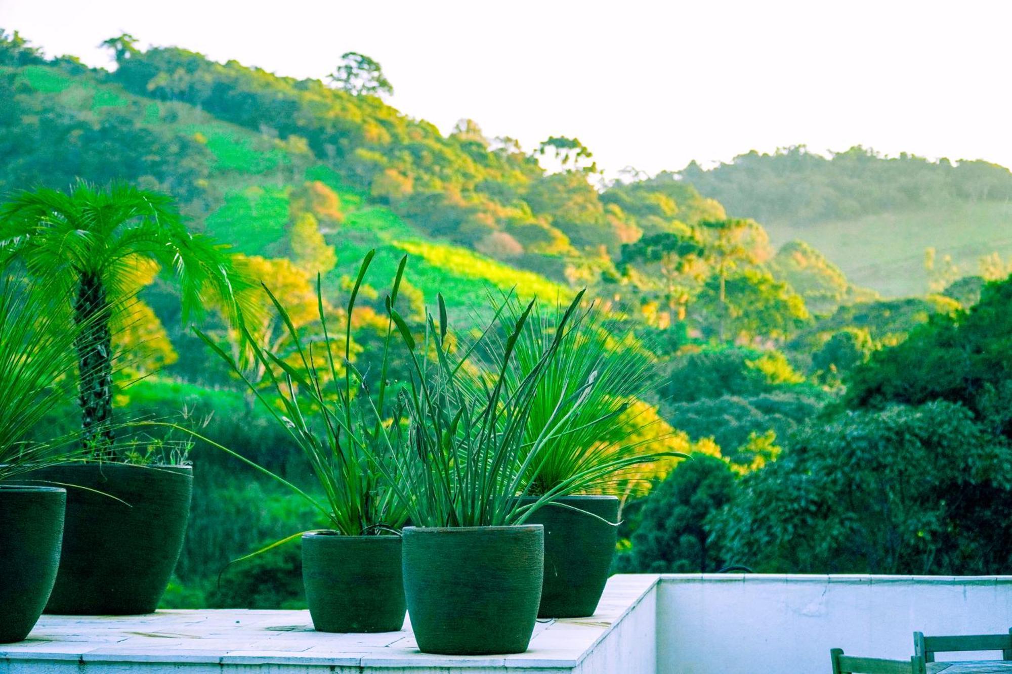 Pousada Highland Santo Antonio do Pinhal Ngoại thất bức ảnh