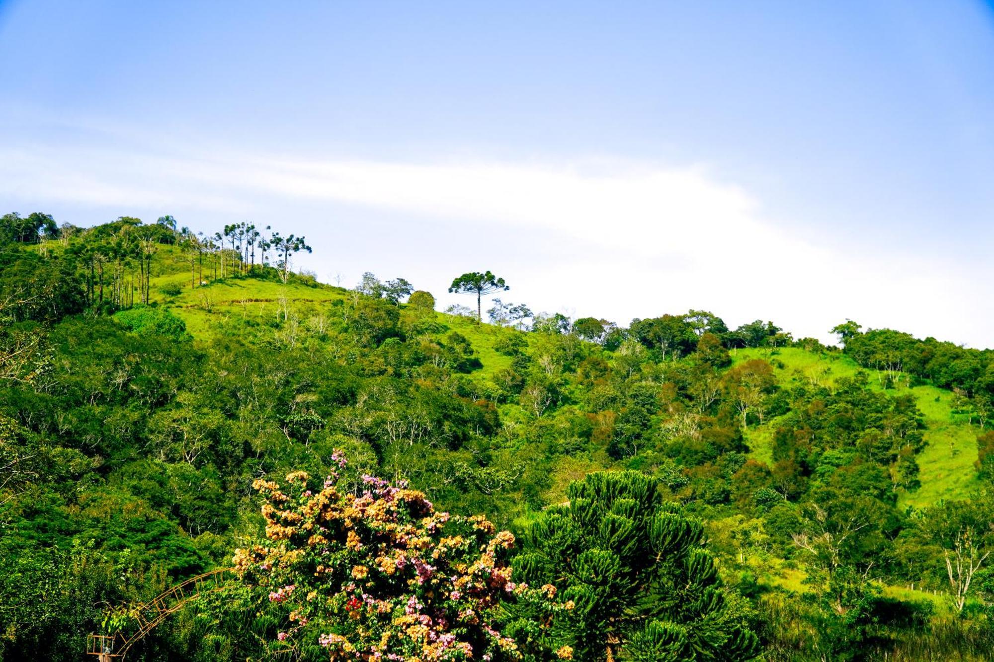 Pousada Highland Santo Antonio do Pinhal Ngoại thất bức ảnh